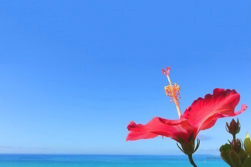 47_Mina_0603's tweet image. ◎一緒に頑張ってくれる人募集

体重MAX🐷98㎏
        NOW🐽75㎏

62~75kgでリバウンド＆ダイエットを何回か繰り返してます😢
無理せず頑張るぞ〜！！！

最終目標→47kg

#ダイエット垢さんと繋がりたい 
#ダイエット一緒に頑張ってくれる人RT 
#ダイエッターさんと繋がりたい