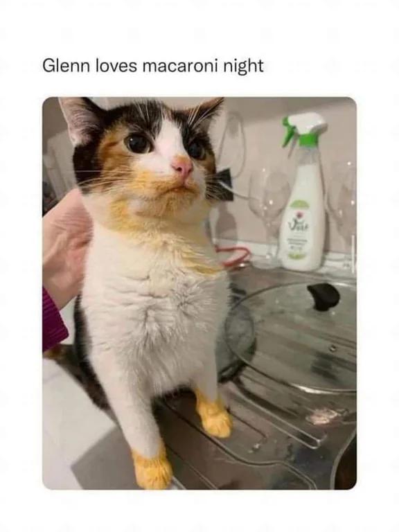 WholesomeMeme's tweet photo. https://t.co/0UFoYAj1WA