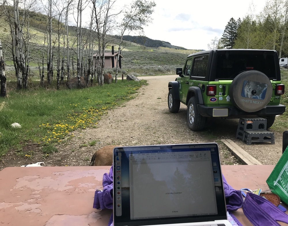 TruckingWriter's tweet image. A2: I like to write at my campground – any campground. No distractions except the breeze in the trees and an occasional squirrel. #WriteStuff