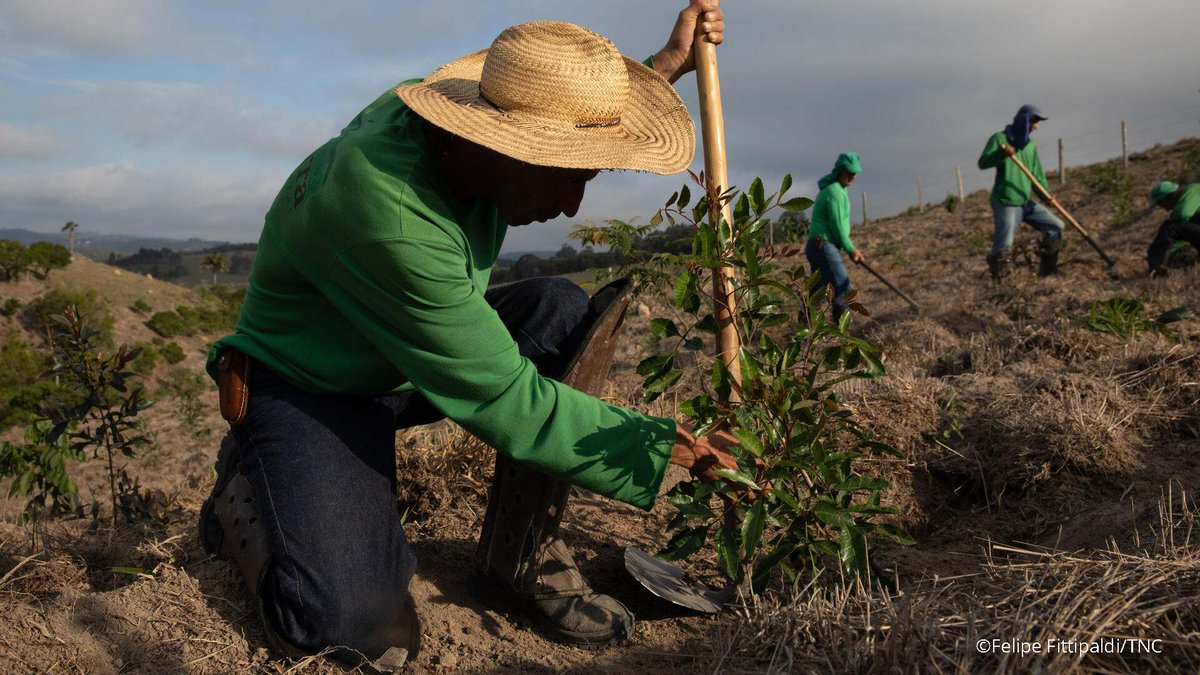 Under the right conditions #30x30 can be achieved without excessive cost and to the benefit of environment and human society. Read our best practice guidance in French, Portuguese, Spanish or English, developed with @Equilibrium_Res for <a href="/DefraGovUK/">Defra UK</a>: nature.ly/43xtqu4