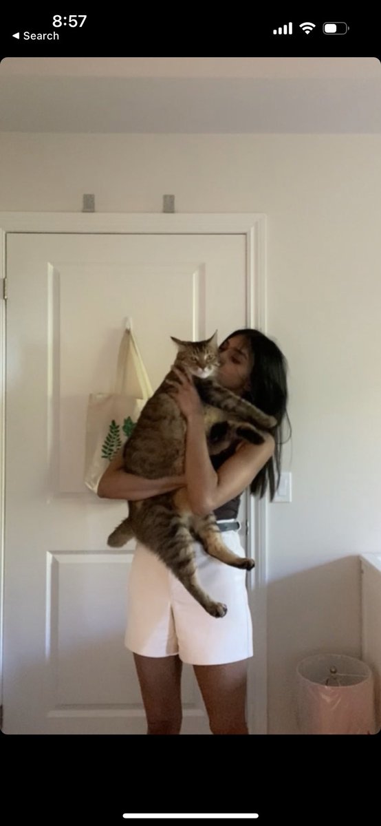 happy birthday juno 🐱❤️