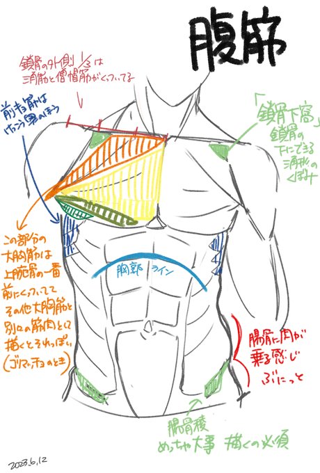 朝のお勉強