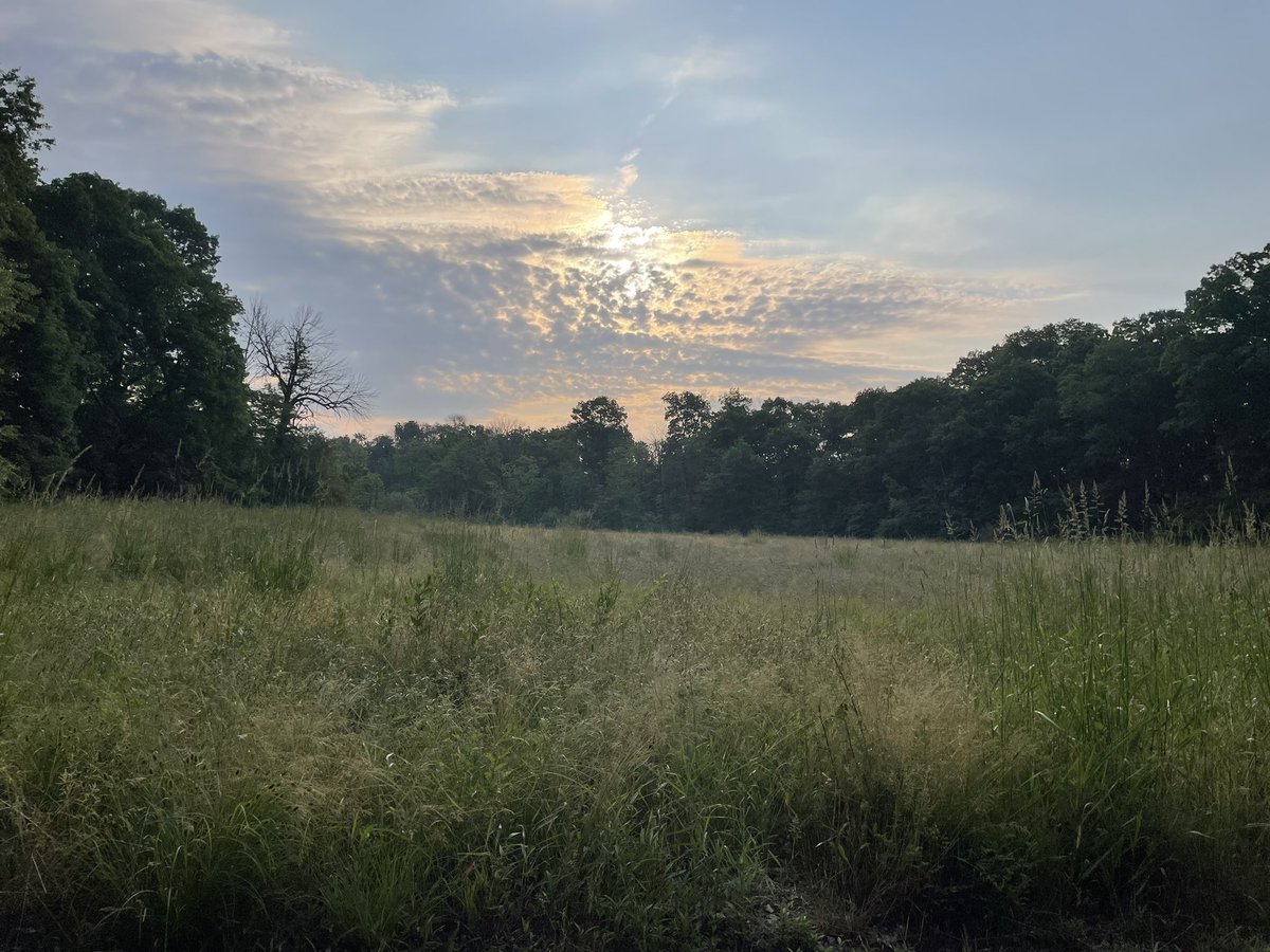 Happy #SundayRunday. I worked on a few hills today while doing my longish 8-mile run. #RunHappy