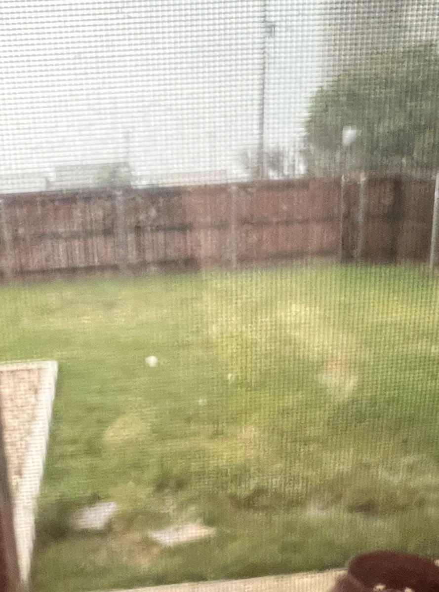 amiemisch's tweet photo. @MartyBryc @wfaaweather We’re getting the same in Lewisville, that baseball looking thing is hail https://t.co/3OmdeqhEVj
