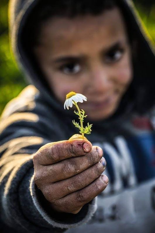 في الحياة دوما هناك من ننتظر رسائلهم.. كلماتهم.. وقفاتهم الصلبة  لتطيب أيامنا وتهون مصاعبنا  واذا ما تاخروا نعذرهم.. ونظل ننتظرهم كانبلاج الفجر