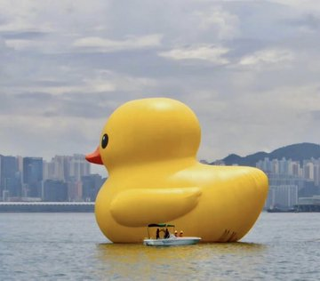 shekharshad2's tweet photo. The big yellow duck in Victoria Harbor is so cute, hahaha https://t.co/HveZFdkiyA