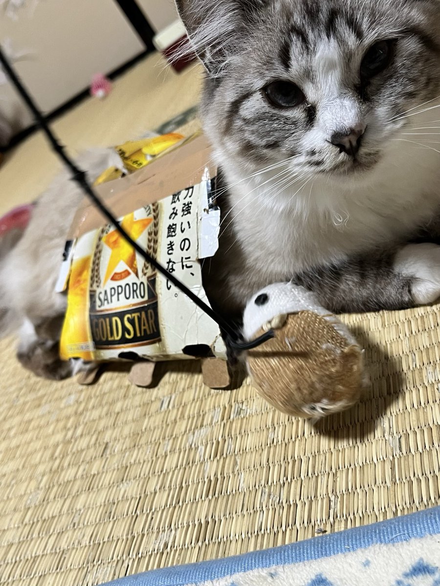 basokiya2's tweet photo. @darakecat どぞ。 https://t.co/bv0Lz1Dtjj