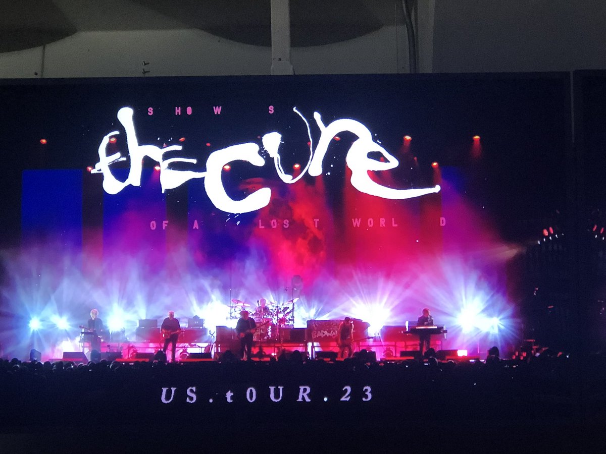 traci mitchell tweet media