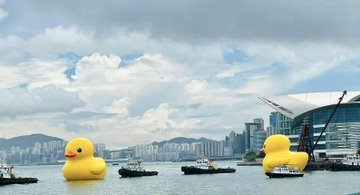 shekharshad2's tweet photo. The big yellow duck in Victoria Harbor is so cute, hahaha https://t.co/HveZFdkiyA