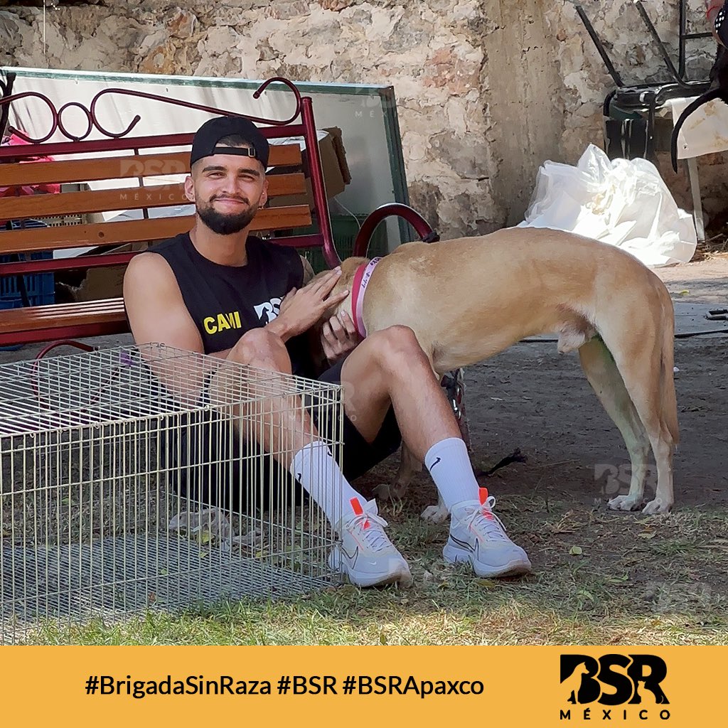 Brigada Sin Raza tweet media