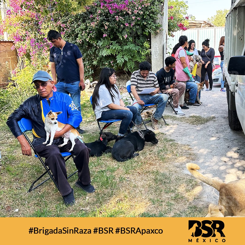 Brigada Sin Raza tweet media
