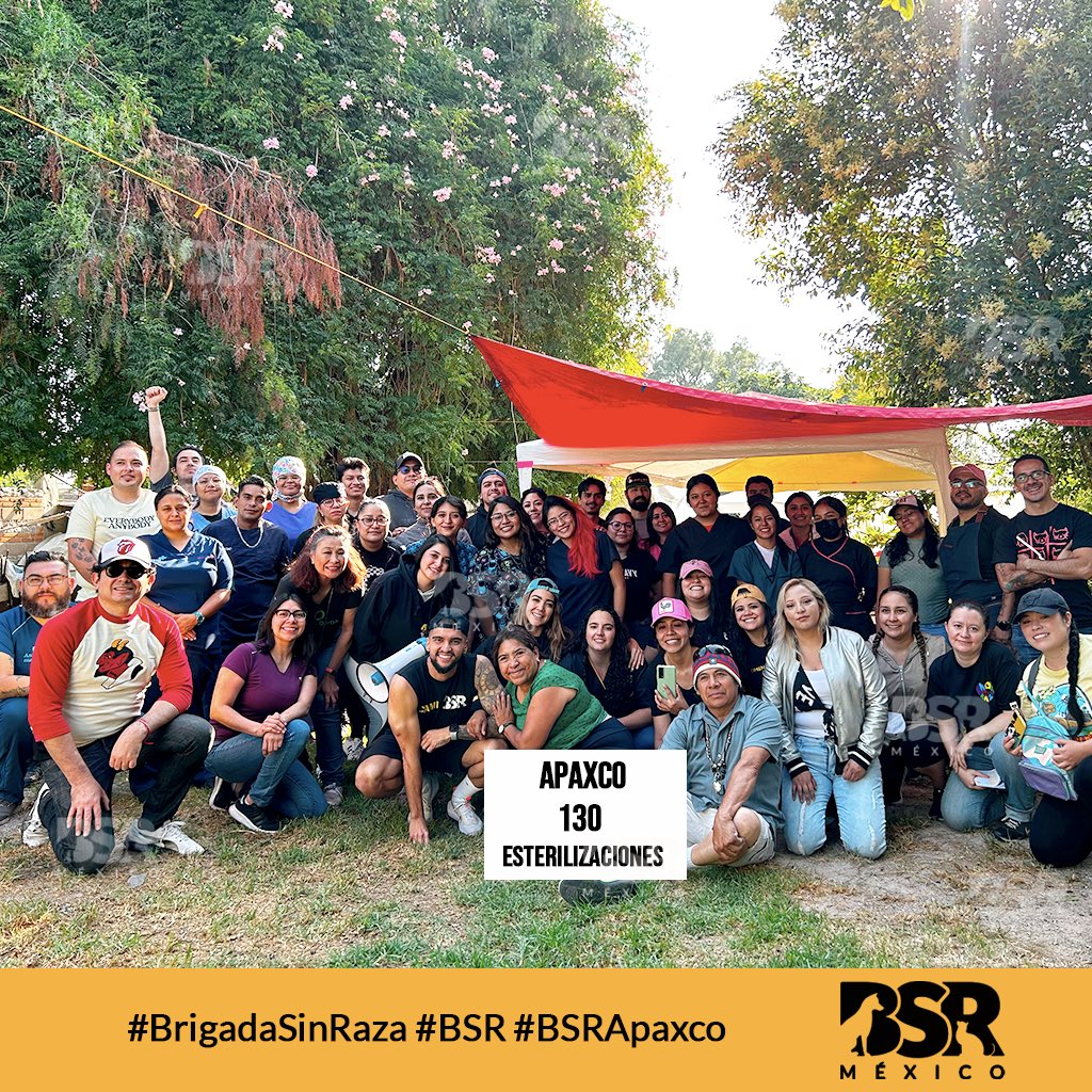 Brigada Sin Raza tweet media