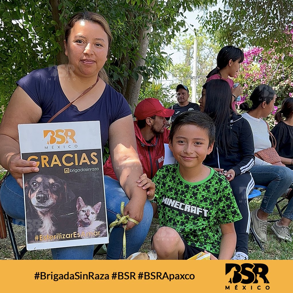 Brigada Sin Raza tweet media