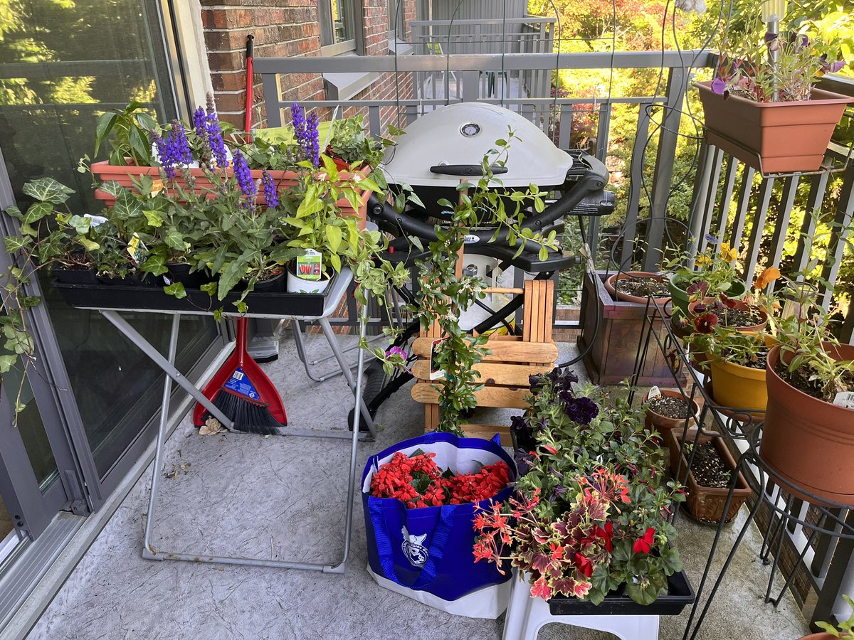 New plants for the balcony - late this year. I always bring a list of pots to fill to the plant store, and I always ignore it. The outcome remains a mystery for now.  #ILovePuzzles