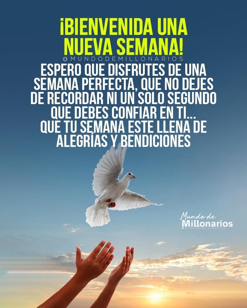 #BienestarIgualdadYJusticia🇻🇪🇻🇪🇻🇪