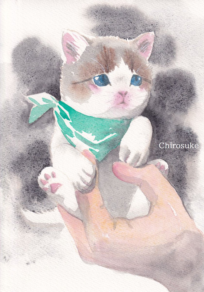 「子猫 #水彩画  モデルはいないです ランプライト紙F2」|ちろ助のイラスト