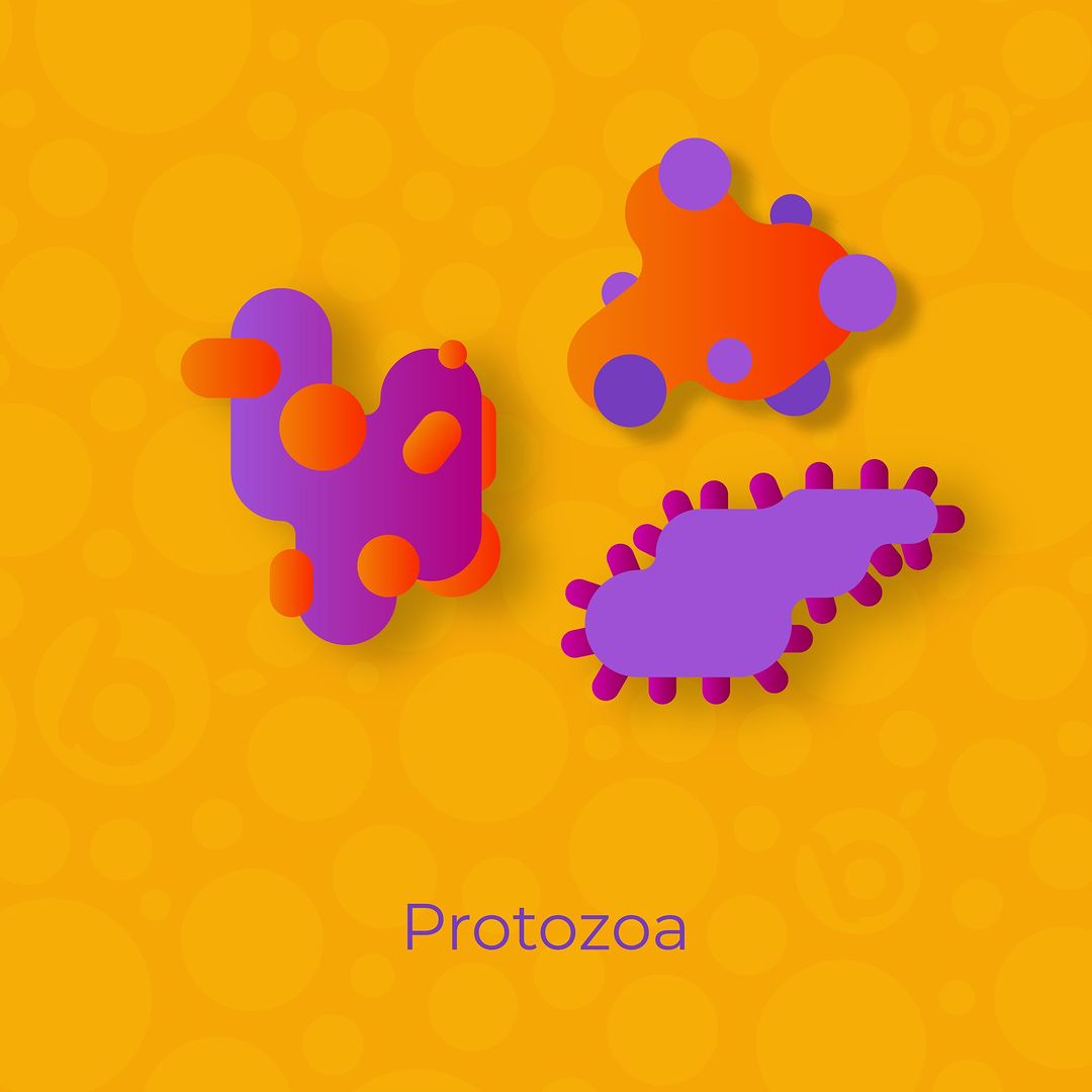 waserba_com's tweet image. #lovebiomeindonesia
#lovebiome
LoveBiome Daily 3 System
Our Daily 3 System is one pack of three complementary products: Next Balance, Next Detox and PhytoPower. The Daily 3 System was designed to promote a healthier gut microbiome

#gutmicrobiome
s.id/LoveBiomeUnite…