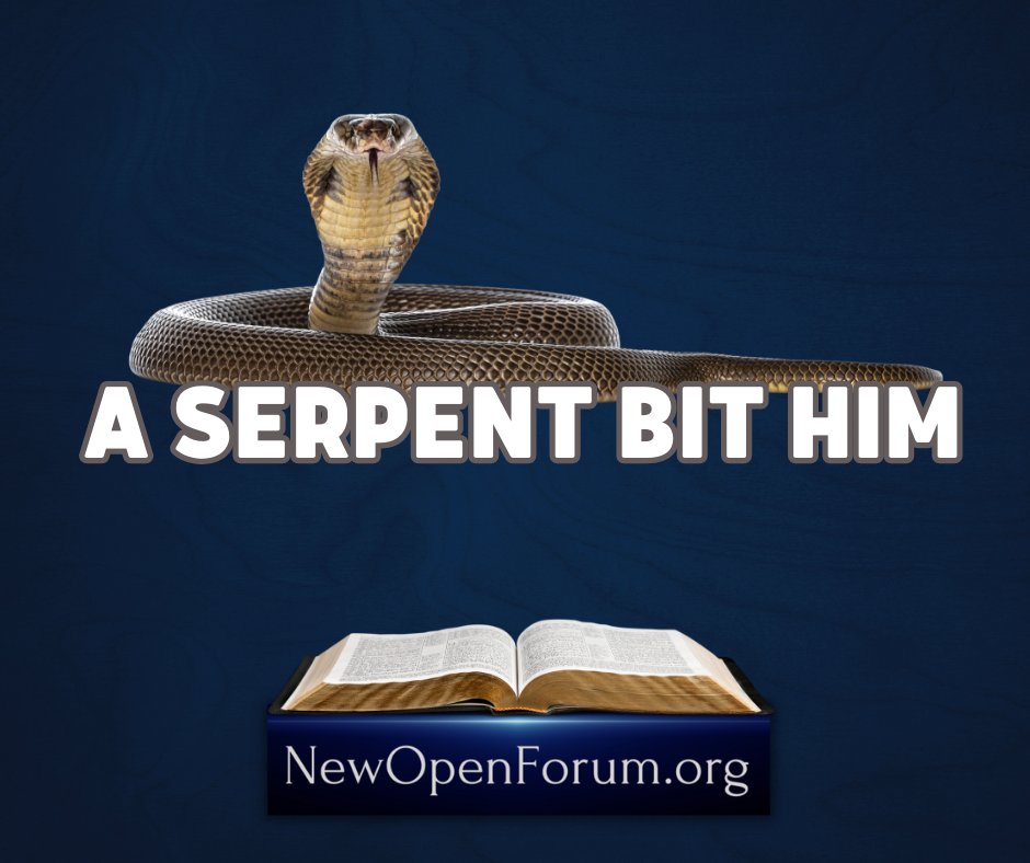 A Serpent Bit Him

By Chris McCann

Amos 5:18 Woe unto you that desire the day of the LORD! to what end is it for you? the day of the LORD is darkness, and not light.

19 As if a man did flee from a lion, and a bear met him; or went into the house, and leaned his hand on the…