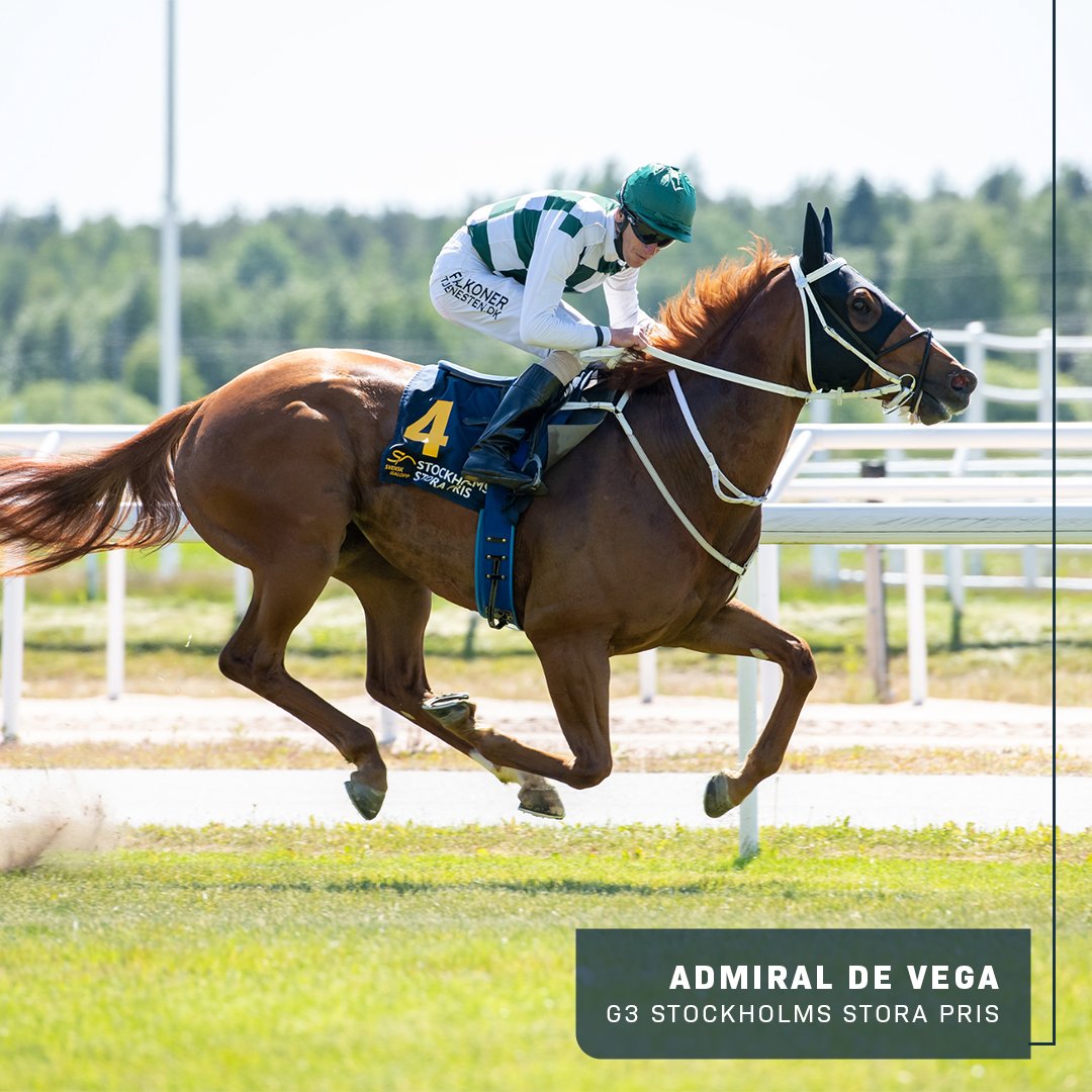 World Horse Racing (@whr) on Twitter photo WEEKEND RACING ROUND-UP 📝
🇺🇸 <a href="/jenaantonucci/">Jena Antonucci | Thoroughbred Trainer</a> creates history with ARCANGELO 😇
🇦🇺 THINK ABOUT IT continues meteoric rise for <a href="/ProvenTbreds/">PR🟢VEN Thoroughbreds</a> 🤔
🇿🇦 Second G1 for <a href="/bassracingstble/">Bass Racing Stables</a>'s CHARLES DICKENS 📖
🇸🇪 ADMIRAL DE VEGA stars in Stockholm 🫡
FULL RECAP: instagram.com/p/CtYdFzjyKFQ/ WEEKEND RACING ROUND-UP 📝
🇺🇸 <a href="/jenaantonucci/">Jena Antonucci | Thoroughbred Trainer</a> creates history with ARCANGELO 😇
🇦🇺 THINK ABOUT IT continues meteoric rise for <a href="/ProvenTbreds/">PR🟢VEN Thoroughbreds</a> 🤔
🇿🇦 Second G1 for <a href="/bassracingstble/">Bass Racing Stables</a>'s CHARLES DICKENS 📖
🇸🇪 ADMIRAL DE VEGA stars in Stockholm 🫡
FULL RECAP: instagram.com/p/CtYdFzjyKFQ/