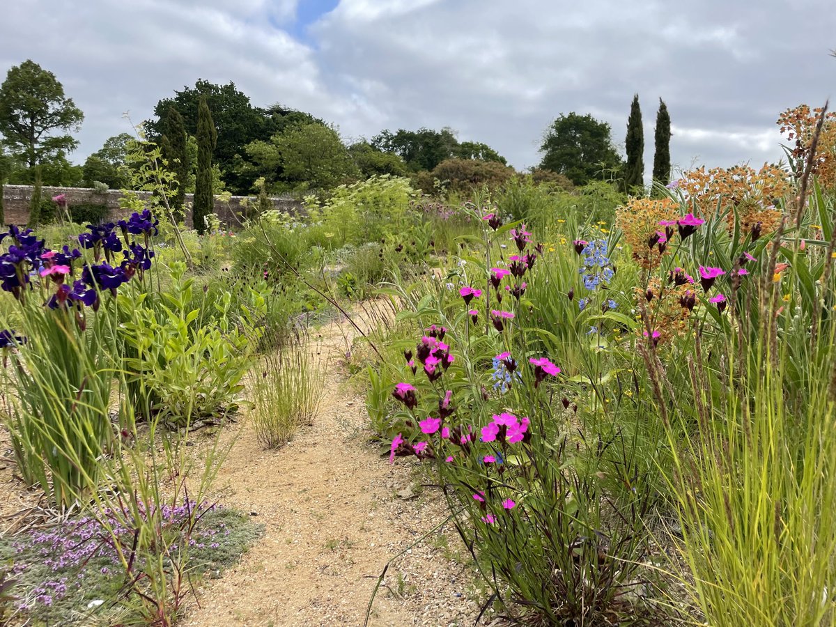 ShaunKiddell's tweet photo. Recent trip to the fabulous Knepp Rewilded kitchen garden. Not your usual walled garden! #helpingnaturethrive #sussex #rewilding https://t.co/65qSbyAA6k