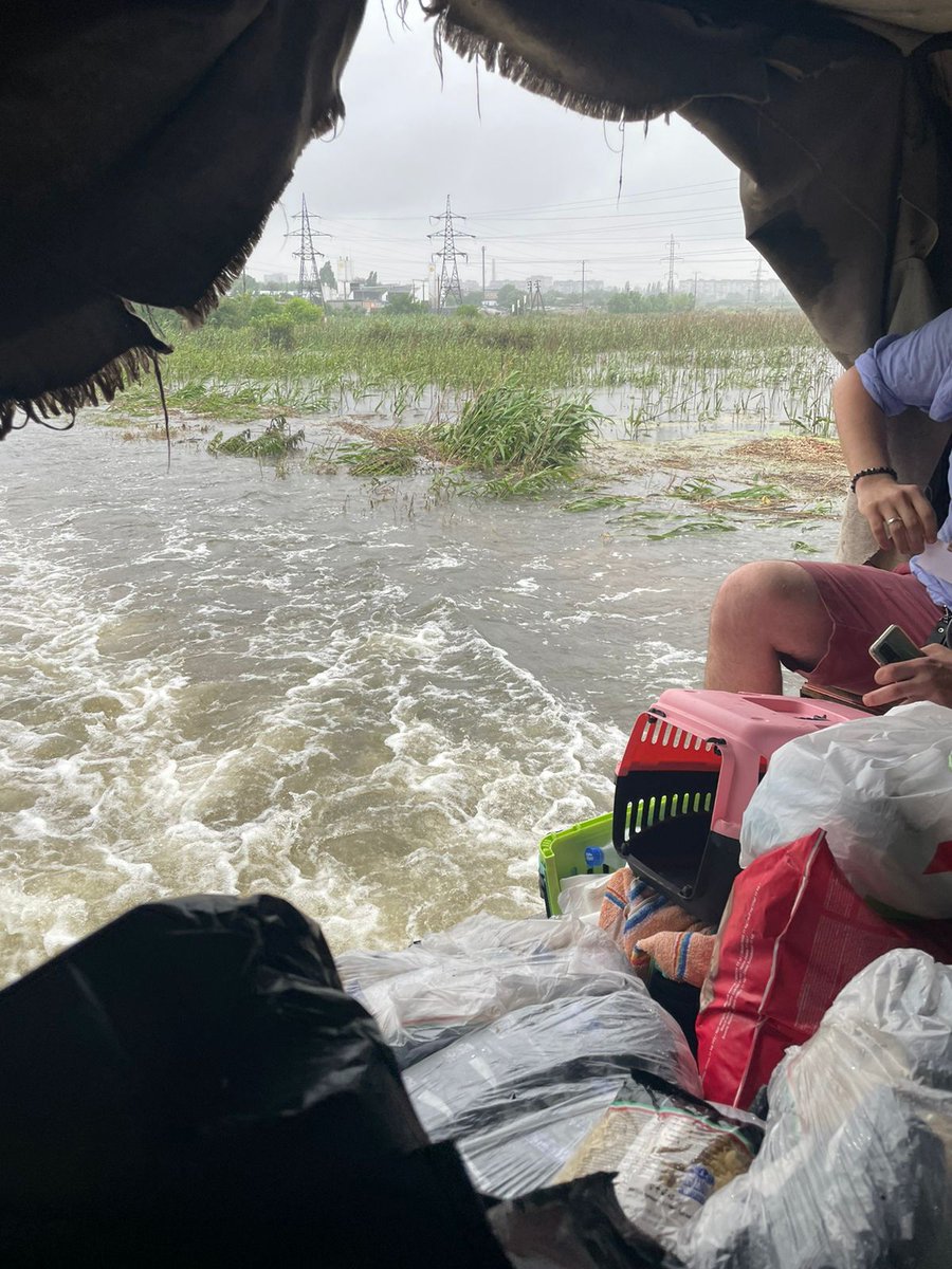 Situation continues to be  critical.The rescue work is ongoing. Big thanks to  the heroes who are sending us constant reports from Kherson so we can  inform our supporters about the real situation. (Photos courtesy of  Olena and her team) #Ukraine #floods #Kherson #UkraineAnimals