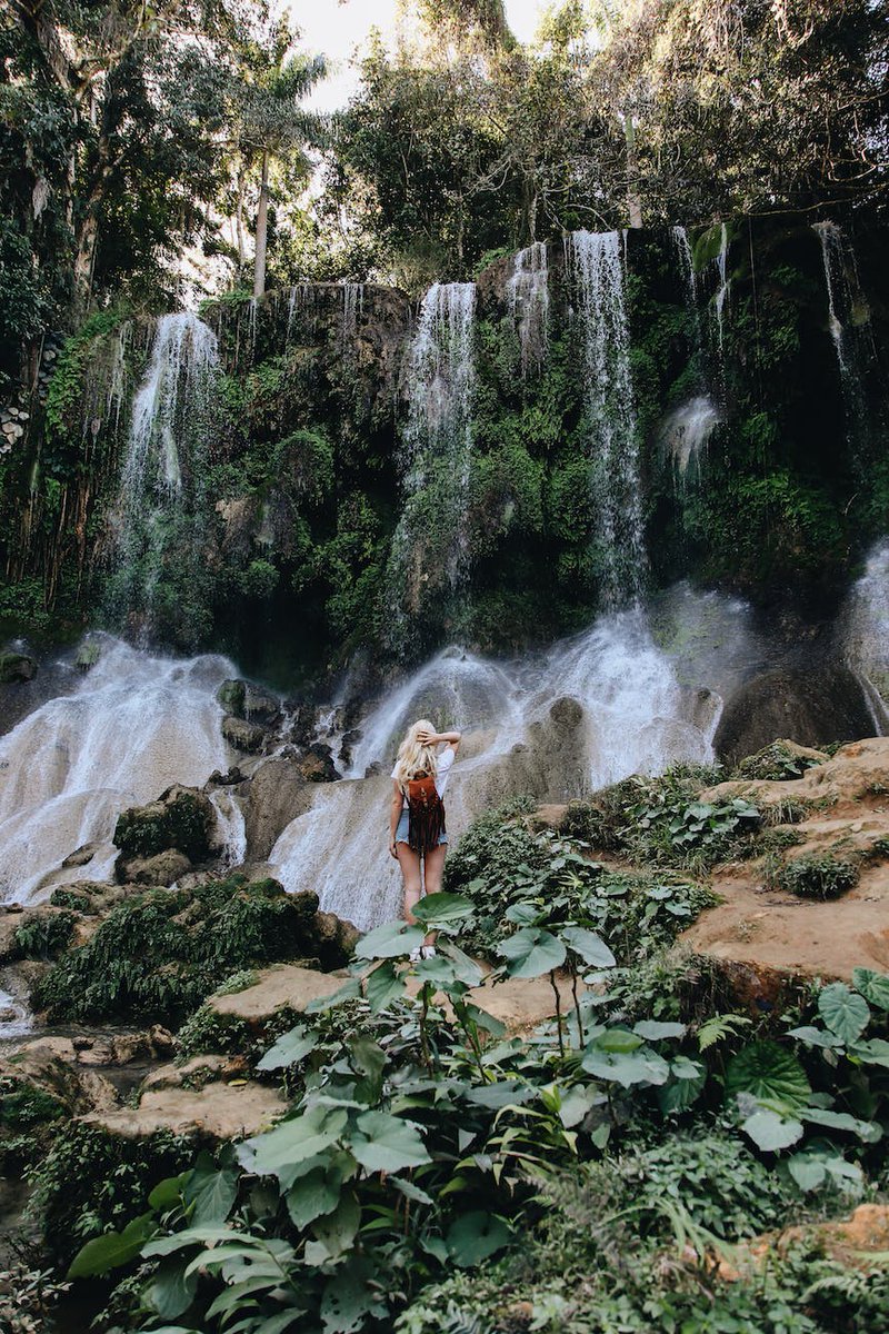 Horoscope - Cancer tweet media