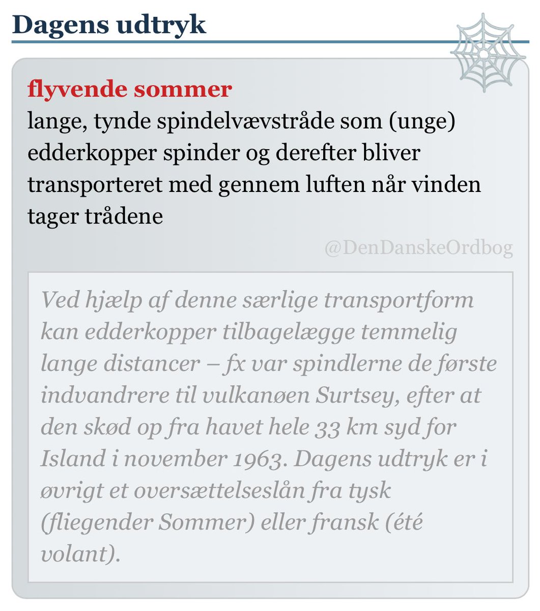 DenDanskeOrdbog's tweet photo. #spindlere #edderkopper #lufttransport #dksprog #dkzoo #dagensudtryk #dagensord
https://t.co/vnqhv6UJIl https://t.co/HJhIABDeFm