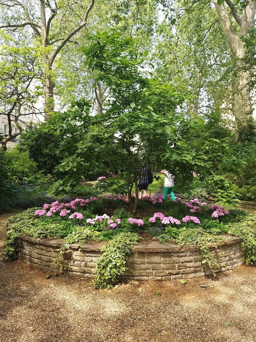 broadsgirl's tweet photo. Onto Rutland Gate Garden, a small intimate garden in a very quiet part of #Knightsbridge
Hard to imagine the army requisitioned the surrounding buildings during WW2 & the garden was the dumping ground for materials from nearby bombed out houses
#LOG23 https://t.co/rLi4HGgURm