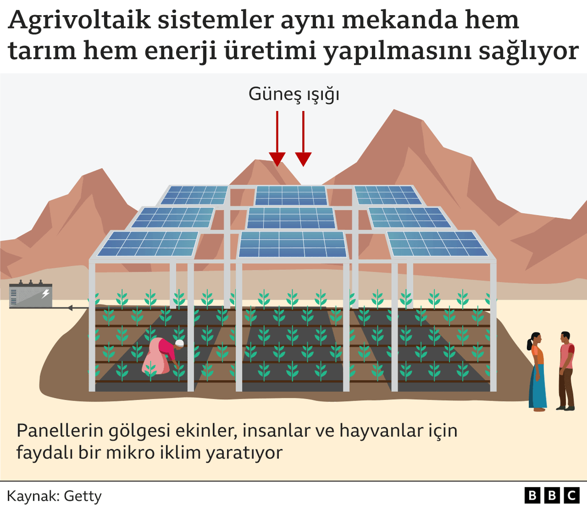 Agrivoltaik tarım nedir, çiftçilerin iklim değişikliğiyle başa çıkmasını kolaylaştırabilir mi? bbc.in/42AoFOM