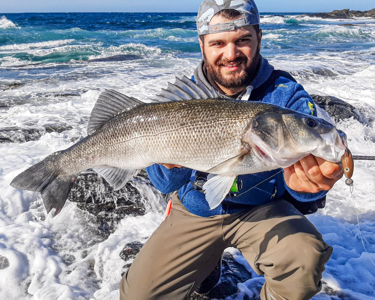 Persuader per Alessandro Deidda!
​
seaspin.com

#seaspin #utopiatackle #lures #saltwaterfishing #spinning #fishinglures #fishingtackle #fishing #bigfish #seafishing