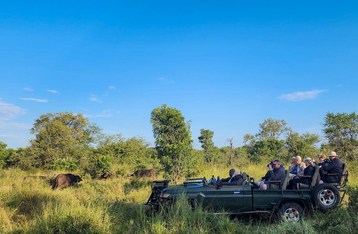 Time to banish those Monday blues and embark on a thrilling adventure in the heart of the African bush here at Makalali Game Lodge! 

Leave the mundane behind and immerse yourself in the untamed beauty of the wilderness.