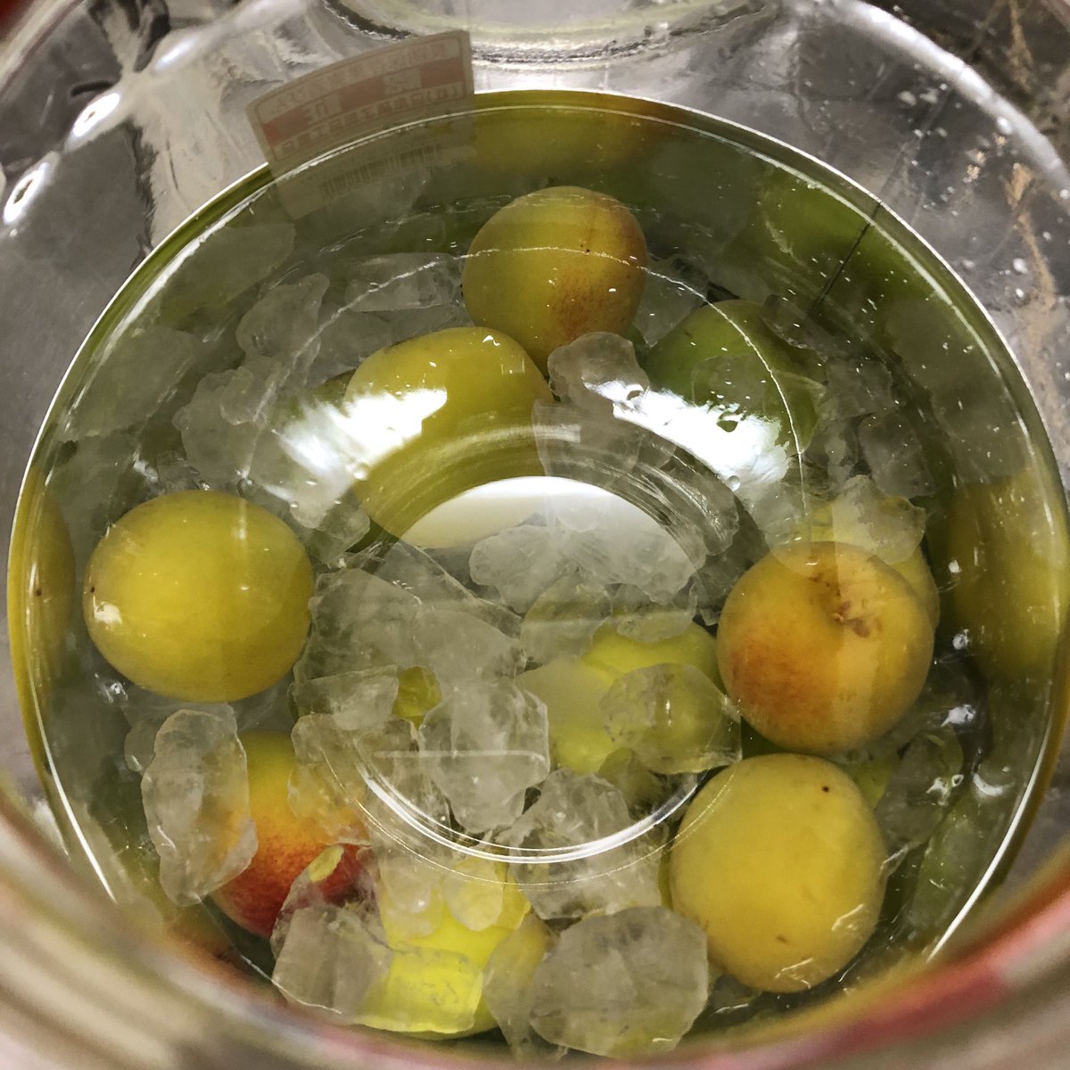 でーきたっ

あとは熟すのを待つのみ🥃✨✨✨ https://t.co/v0N0fKtFmw