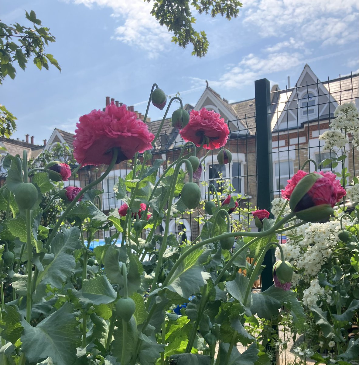 Jane Martin 💙 tweet media