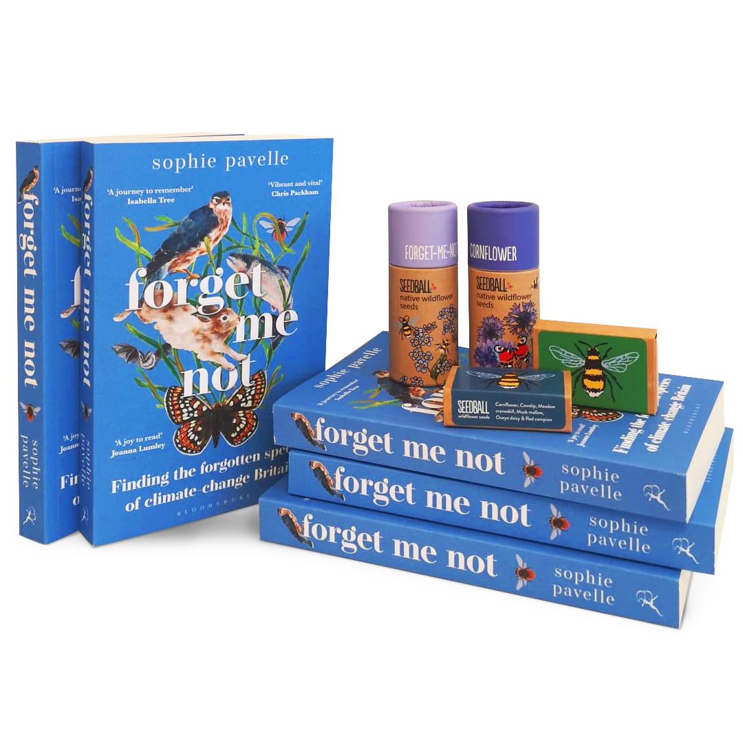 Sophie Pavelle tweet media