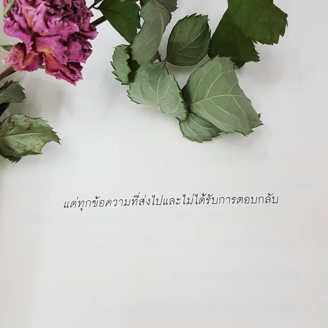 ร้านกลิ่นหนังสือ tweet media