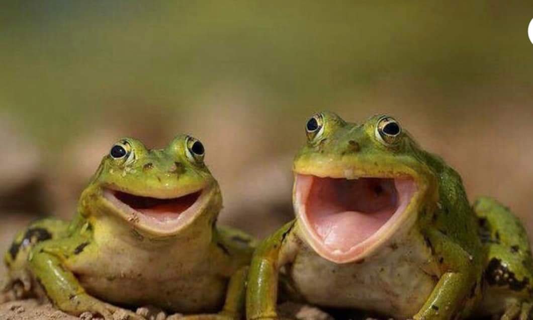 अरू देश चन्द्रमामा पुगेर पानि खोजिरहेका छन् 
हामि चाहि अहिले सम्म त्यहि पानिको लागि भ्याकुता खोजेर बिहे गर्दिरहेका छौ!
नव बिबाहित जोडिलाइ दाम्पत्य जीबनको शुभकामना!