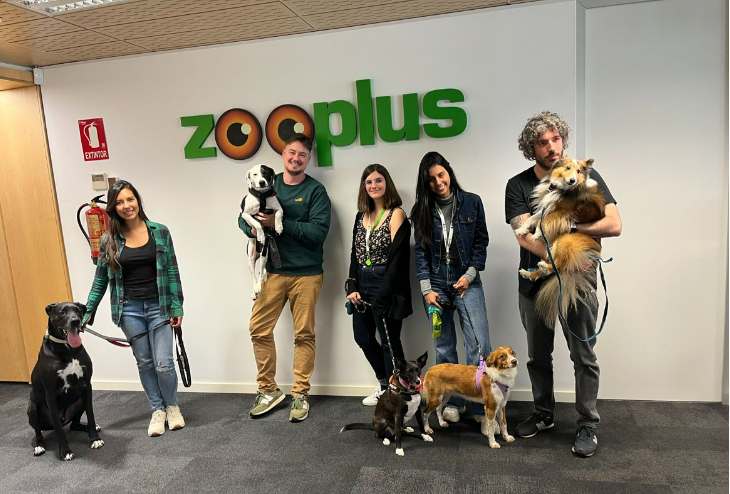 zooplus Tech Madrid tweet media