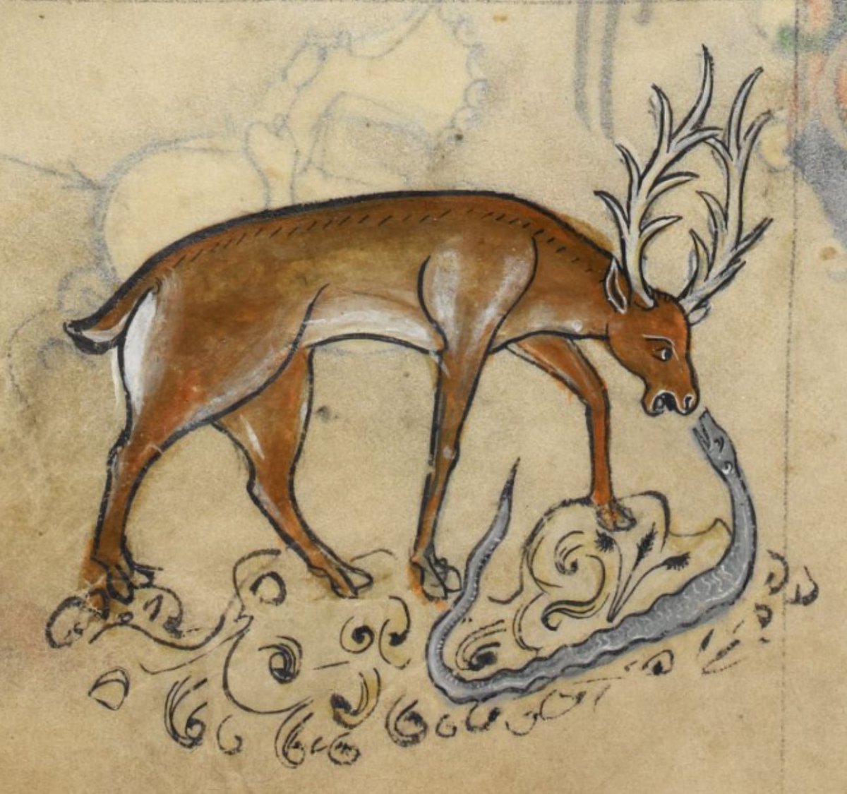 Harriet Soper tweet media