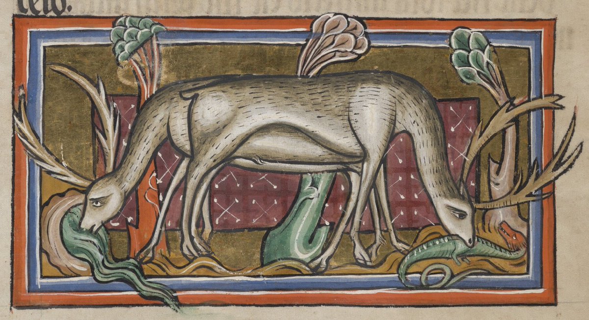 Harriet Soper tweet media