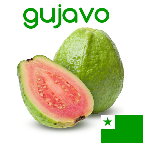Gujavo #Esperanto #Vortoj