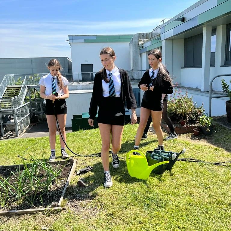 Pupils cared for the school garden on Feast Day. #feastday #nuture #schoolgarden #laudatosi #growyourown