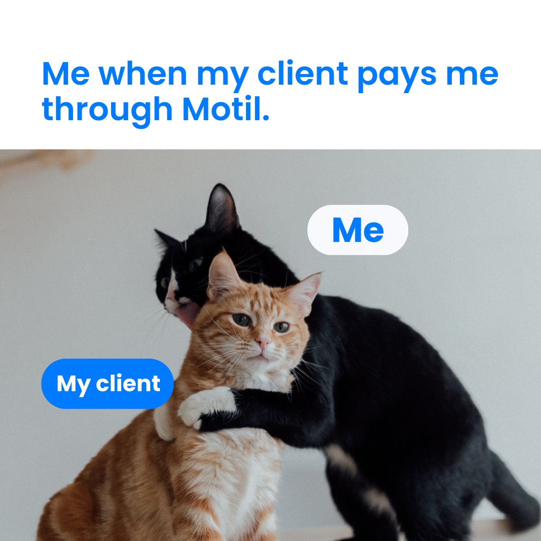 Motil_mvmt's tweet photo. Who else feeling this way? 🤣 #freelancer #freelancing #Memes https://t.co/jm86Fq2p1t