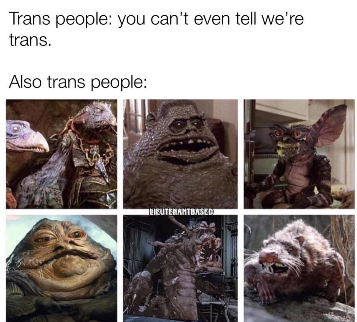 kag_kraken1776's tweet photo. #TransJester https://t.co/HyxZcBuVlp