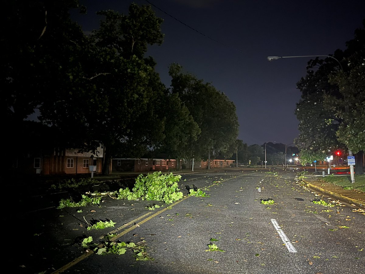 Danielle Dozier News 19 on Twitter "Another pic of tree limbs down and