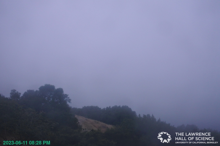 SFBayViewer's tweet image. San Francisco Bay as seen from The Lawrence Hall of Science
static.lawrencehallofscience.org/scienceview/sc…