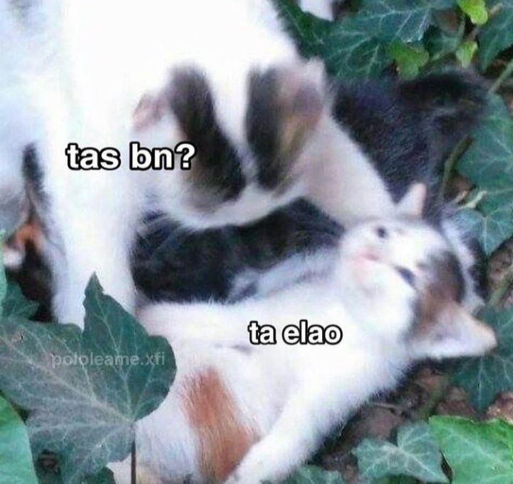 fede (@fdeaaaaa) on Twitter photo 