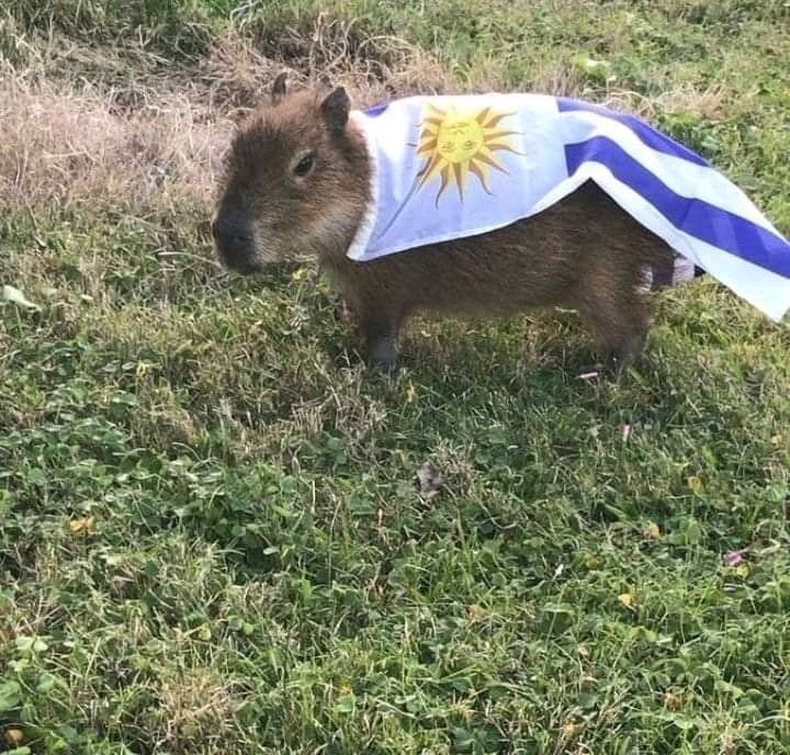 ☀️🧉🫂🇺🇾 tweet media