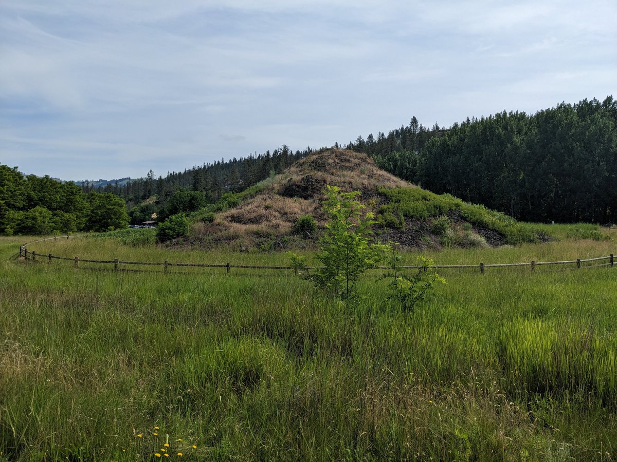 alixechristie's tweet photo. On the #NezPerceTrail retracing their terrible pursuit by the US Army in 1877. 1st the Heart of the Monster, origin place, then wild & beautiful Lochsa River through Lolo Canyon to amazing fields of camas flowers in bloom. Sharing story of #TheShiningMountains all the way https://t.co/nqmJdPP5SP