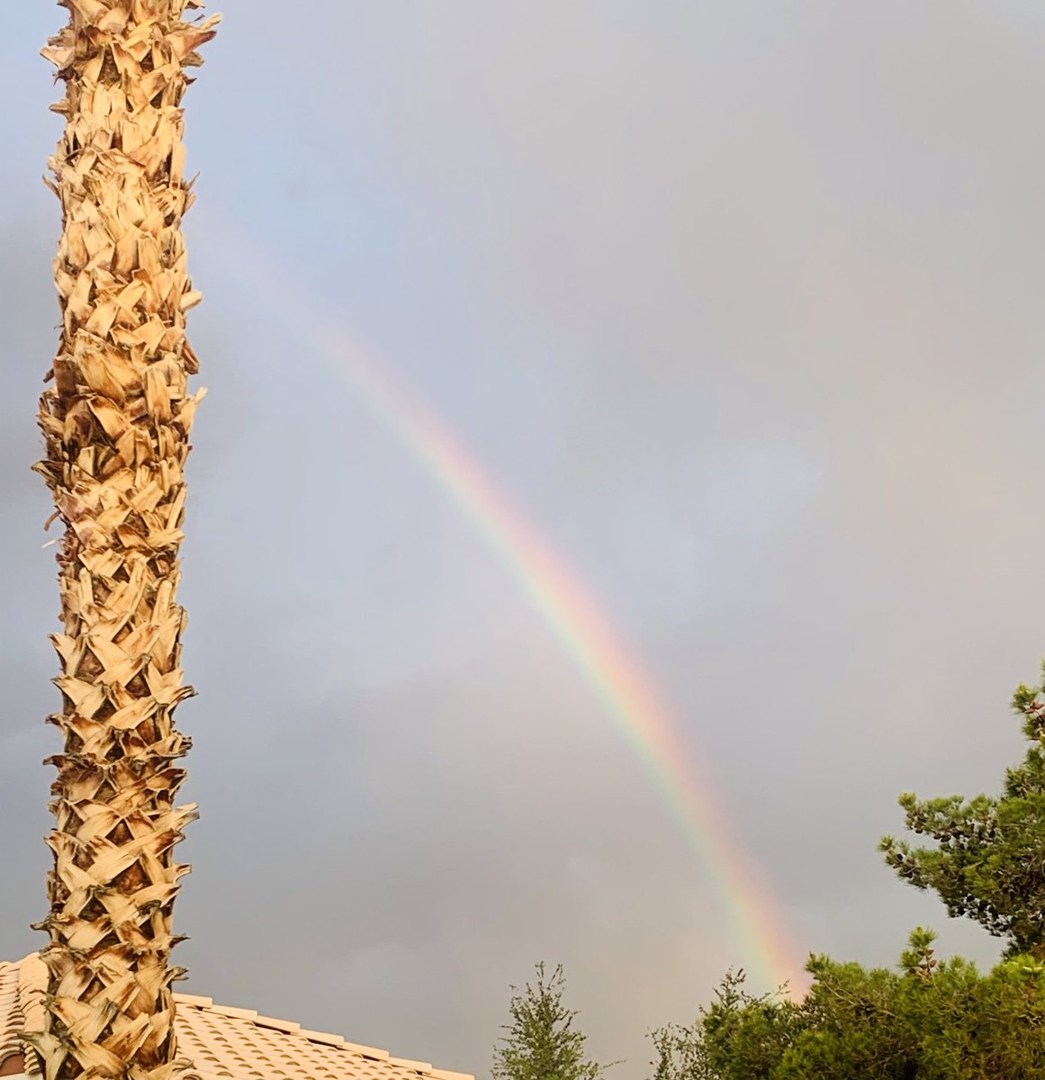 Rainbow in #hendersonnv