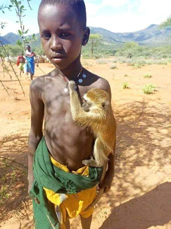 A young Maa boy Stano Mpaarai Lenchekut from samburu county who take care of Vervet Monkey as a friend.coexistence with wild animals♥️.

 #culture #wildlife